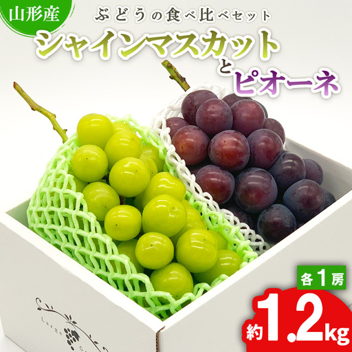 ぶどうの食べ比べセット★シャインマスカットとピオーネ 約1.2kg(各1房) 秀品 期間限定[令和8年産先行予約]FS24-526 くだもの 果物 フルーツ 山形 山形県 山形市 2026年産