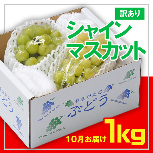 ☆フルーツ王国山形☆[訳あり] シャインマスカット1kg (1～3房)[10月お届け] 【令和8年産先行予約】FS23-854 くだもの 果物 フルーツ 山形 山形県 山形市 2026年産