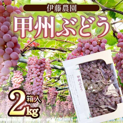 [令和8年産先行予約] 甲州ぶどう 2kg箱入(4〜6房) 山形県鶴岡産 伊藤農園 | ブドウ 葡萄 ぶどう 2キロ フルーツ 果物 くだもの 旬 期間限定 産地直送 おすすめ 人気 美味しい お取り寄せ 返礼品