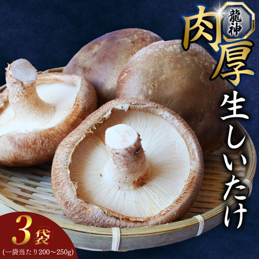 しいたけ 龍神マッシュの生しいたけ３袋セット 【mas001】