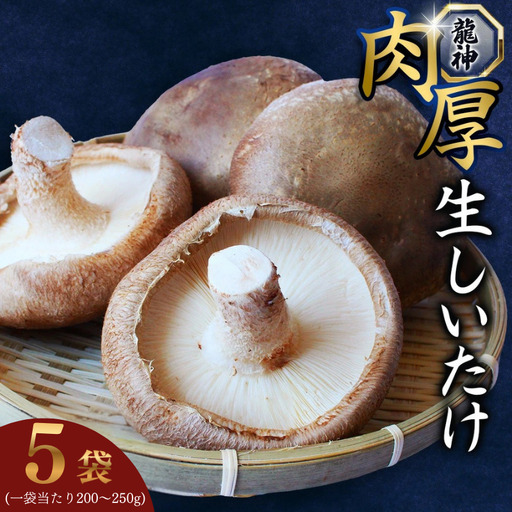 しいたけ 龍神マッシュの生しいたけ10袋セット 【mas003】