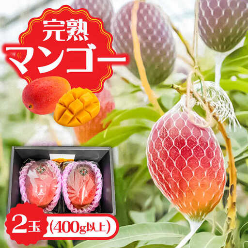 [2027年7月-発送]南島原産完熟マンゴー2玉 / 南島原市 / ながいけ 