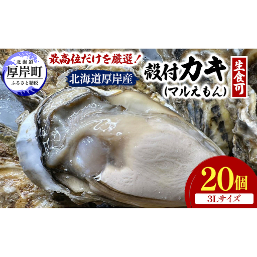 殻付き 牡蠣 3Lサイズ 20個 【光輝】マルえもん 生食用 牡蠣