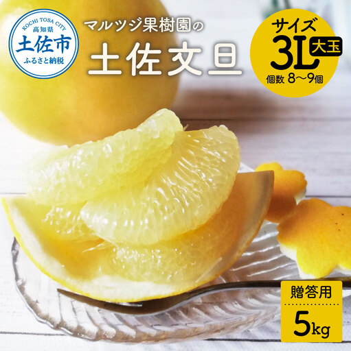 [先行予約]土佐文旦 贈答用 大玉(3Lサイズ) 約5kg(8?9個) 高知県土佐市 [マルツジ果樹園] [BQAN003]