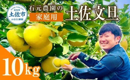 【先行予約】石元農園の土佐文旦 家庭用 約10kg（14?22玉） 高知県土佐市 【石元農園】 [BQBH002]