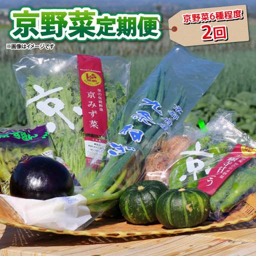 [野菜 定期便 2回]選りすぐり 旬の京野菜 詰め合わせセット