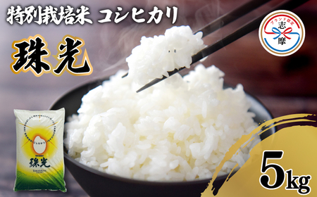 コシヒカリ 5kg 白米 令和7年産 精米 白米[特別栽培米 「珠光」]