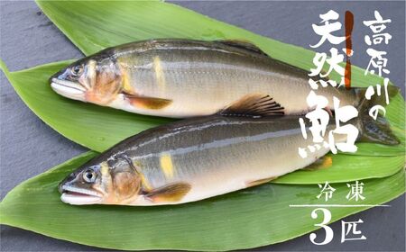 冷凍鮎 3匹 / 天然鮎 鮎