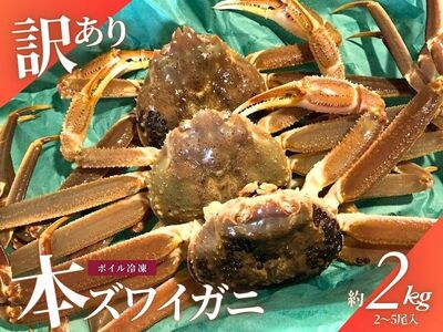 【11月～2月発送】【訳あり】本ズワイガニ　約2kg（2～6尾入）新潟県村上市寝屋漁港産 1079001