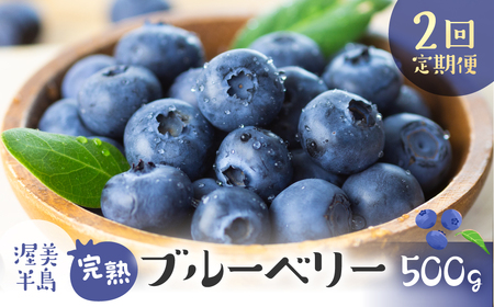 【定期便】完熟ブルーベリー 500g　2回定期便