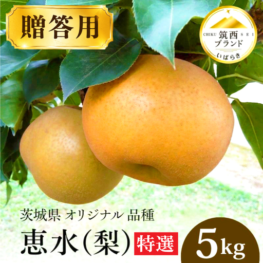 梨 恵水 5kg 特選 2026年産 先行予約 梨