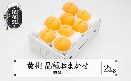 先行予約 もも 有袋黄桃 秀品 品種おまかせ 2kg 化粧箱入 フルーツ 果物 令和8年産 2026年産 山形県産 桃 黄桃 モモ 送料無料 ※沖縄・離島への配送不可 ns-mootx2