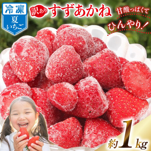 訳あり 冷凍 夏いちご すずあかね 約1kg 