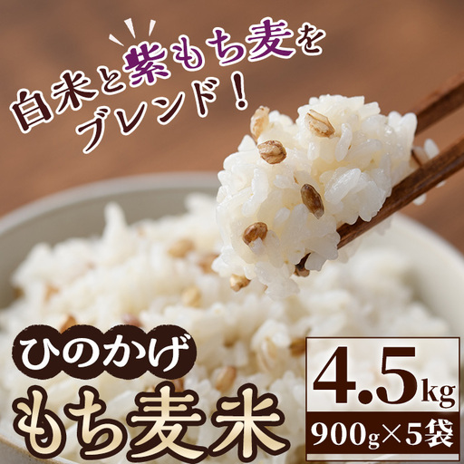 ＜令和7年産 ＞宮崎県日之影町産 もち麦米 (900g×5袋) 数量限定 紫もち麦 ヒノヒカリ 米 精米 国産 小分け 【AF001】【株式会社ひのかげアグリファーム】