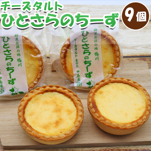 【中島屋菓子店】チーズタルト「ひとさらのちーず」9個 [0010-0315]