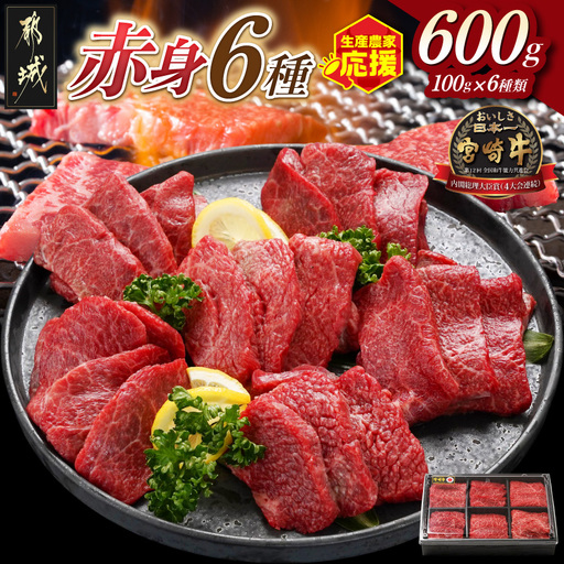 生産農家応援!宮崎牛赤身6種600g〔16-2601〕_(都城市) 牛肉 ウデミスジ ウデ三角 ウデクリ とうがらし ウデ赤身 ウデカルビ 約100g 計600g 6種類セット赤身