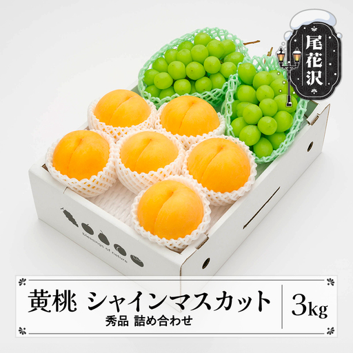黄桃 シャインマスカット 詰め合わせ 計3kg ns-fsosx3-b