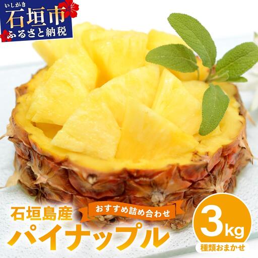 石垣島産パイナップル 2～6個 約3kg  KP-14