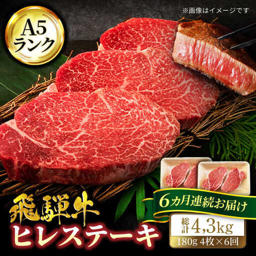 【6回定期便】飛騨牛ヒレステーキ180g×4枚 計720g 総計4.32kg【マルゴー】A5 赤身 鉄板焼き 希少部位[MBE048]