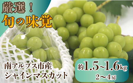 【2026年発送先行予約】厳選！南アルプス市産　シャインマスカット　約1.5kg～1.6kg（2～4房） ALPDD010