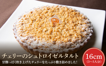 チェリーのシュトロイゼルタルト 16cm サイズ 3人分 ～ 5人分 甘酸っぱい 焼き菓子 ドイツ菓子 誕生日 奈良県 生駒市 お取り寄せ タルト ケーキ スイーツ デザート おやつ 洋菓子 熨斗対応 冷凍 送料無料