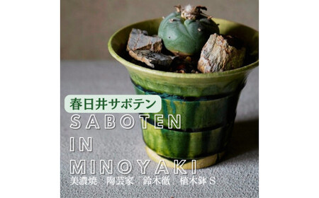 多治見市×春日井市コラボ [美濃焼] 陶芸家「鈴木徹」植木鉢 S × [日本有数のサボテン産地] 春日井市の名店 後藤サボテン