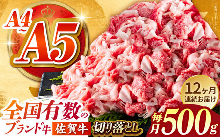 ＜全12回定期便＞佐賀牛切り落とし500g HCS031 切り落とし