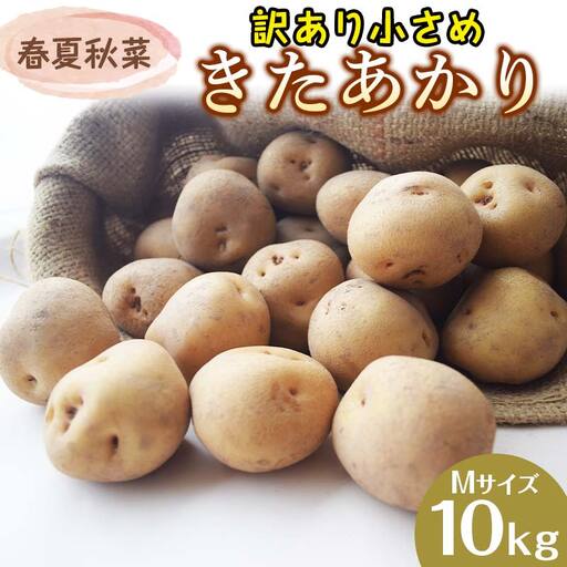 『春夏秋菜』訳あり 小さめ きたあかり Mサイズ 10kg 2026年9月より順次発送 じゃがいも ジャガイモ EB8-0201
