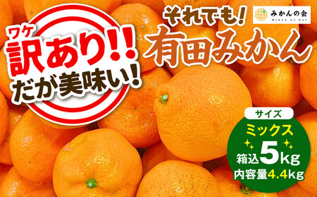 訳あり それでも 有田みかん 箱込 5kg (内容量約 4.4kg) サイズミックス B品 有田みかん 和歌山県産 産地直送 家庭用[2026年11月中旬より順次出荷予定][みかんの会]