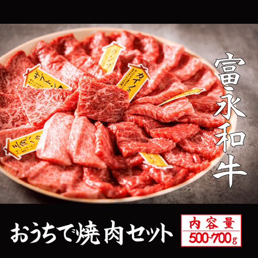 【自社農場和牛】富永和牛おうちで焼肉セット（国産 牛肉 和牛 赤身 霜降り 焼肉 BBQ 限定） 焼肉 和牛焼肉 牛肉焼肉 焼肉セット 国産焼肉