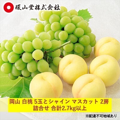 桃 ぶどう 2026年 先行予約 岡山 白桃 5玉とシャイン マスカット 2房 詰合せ 合計2.7kg以上 桃 シャインマスカット