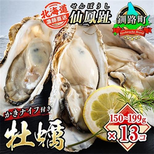 仙鳳趾名産 牡蠣 150～199g×13個+かきナイフ付K4-3_仙鳳趾 センポウシ せんぽうし 牡蠣 カキ 生食用 殻付き 牡蠣 絶品 産地直送 北海道 釧路町 釧路超 特産品 _【配送不可地域：離島・沖縄県・信越、北陸・東海・近畿・中国・四国・九州】【1294853】