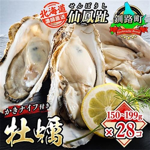 仙鳳趾名産 牡蠣 150～199g×28個+かきナイフ付K4-4_仙鳳趾 センポウシ せんぽうし 牡蠣 カキ 生食用 殻付き 牡蠣 絶品 産地直送 北海道 釧路町 釧路超 特産品 _【配送不可地域：離島・沖縄県・信越、北陸・東海・近畿・中国・四国・九州】【1294862】