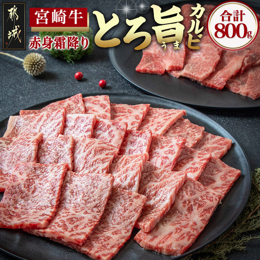 宮崎牛赤身＆霜降り【とろ旨カルビセット】800g〔22-6506〕_(都城市) 牛肉 牛もも焼肉用(500g) 牛肩ロース焼肉用(300g) 合計800グラム 焼き肉用カット 鉄板焼き BBQ 牛モモ肉 霜降り肉 ギフト 贈答用