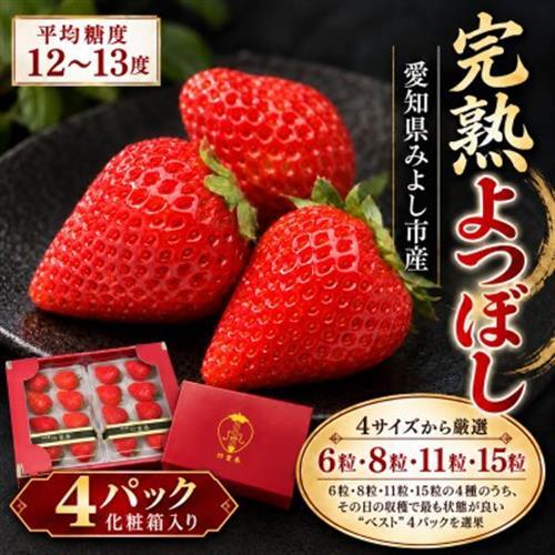 【産直】完熟よつぼし『四重奏』　愛知県みよし市　4パック(約1kg)【配送不可地域：離島・北海道・沖縄県】【1369815】