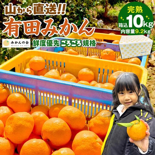 有田みかん 訳あり みかん 約9.2kg  和歌山県産