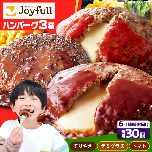 【全6回定期便】ジョイフル ハンバーグ スペシャル 詰め合わせ 3種 30個 セット[ABAA043]