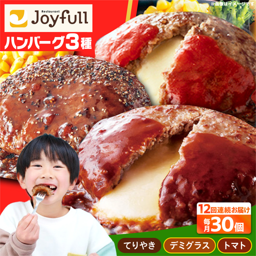【全12回定期便】ジョイフル ハンバーグ スペシャル 詰め合わせ 3種 30個セット [ABAA044]