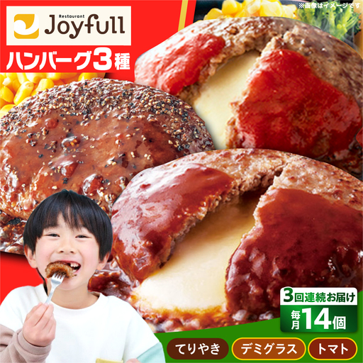 [全3回定期便]ジョイフル ハンバーグ スペシャル 詰め合わせ 3種 14個 セット[ABAA057]