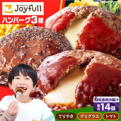 【全6回定期便】ジョイフル ハンバーグ スペシャル 詰め合わせ 3種 14個 セット[ABAA058]