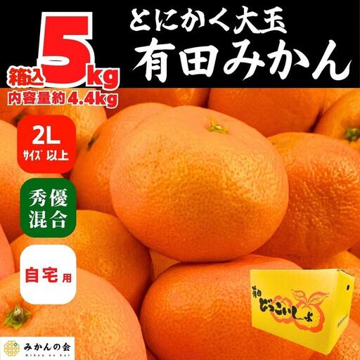 みかん 大玉 どっこいしょ 箱込 5kg ( 内容量約 4.4kg ) 2Lサイズ以上 秀品 優品 混合 有田みかん 和歌山県産 産地直送 家庭用[2026年11月中旬より順次出荷予定]