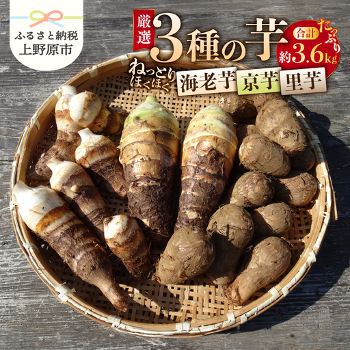 [2026年先行予約]◆◆2026年度収穫分◆◆山梨県上野原市産 厳選3種の芋(里芋・京芋・海老芋)セット 各約1.2kg×3種