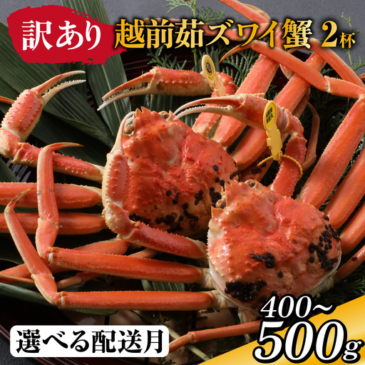 [先行予約][到着日指定可][訳あり]蟹好きが唸る老舗カニ料理店の越前茹ズワイ蟹 ミニ(400〜500g) 2杯[11月中旬より順次発送] [G-085034] / ズワイガニ ズワイガニ ズワイガニ
