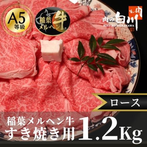 稲葉メルヘン牛(A5)すき焼き用　ロース1.2Kg【配送不可地域：離島・北海道・沖縄県・東北・中国・四国・九州】【1291595】