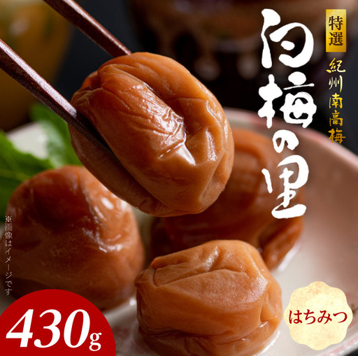 特選紀州南高梅「白梅の里」はちみつ　430ｇ_SF2011