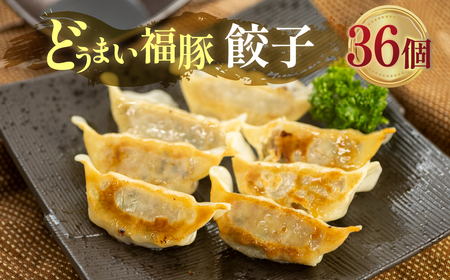 季節限定　5月～12月発送　福豚餃子