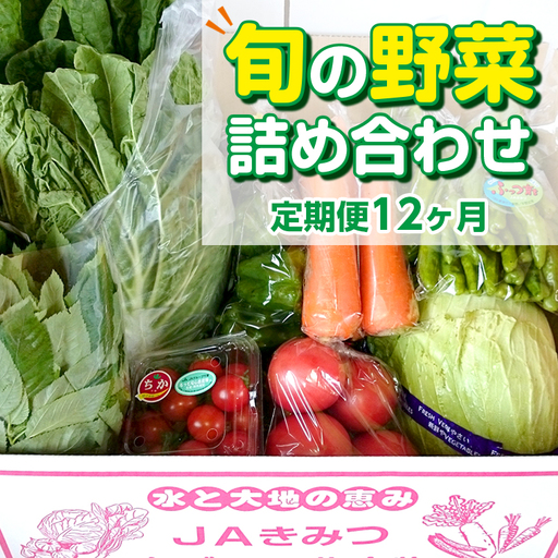 【定期便12ヶ月（2027年）】旬の野菜詰め合わせ