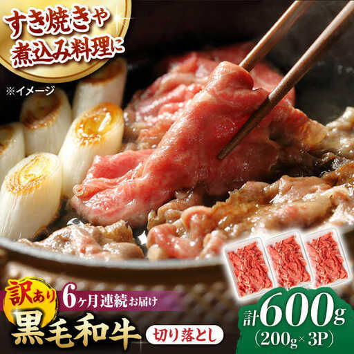 【第6回定期便】【訳あり】 切り落とし 600g 長崎和牛 黒毛和牛  【夢ファームシュシュ】 [WF36] 肉 牛肉 しゃぶしゃぶ すき焼き 訳アリ ワケあり 定期便