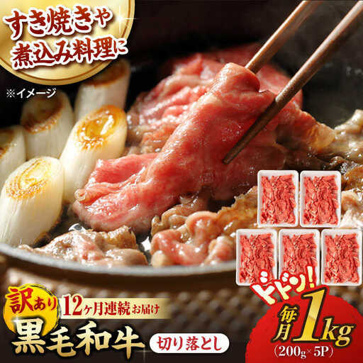 【第12回定期便】【訳あり】 切り落とし 1.0kg (200g×5) 長崎和牛 黒毛和牛 【夢ファームシュシュ】 [WF40] 肉 牛肉 しゃぶしゃぶ すき焼き 訳アリ ワケあり 定期便