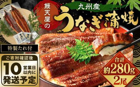 鰻天屋の九州産うなぎ 蒲焼 約140g×2尾 セット